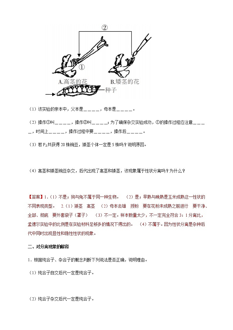 高中生物第二册 1 1 1 孟德尔的豌豆杂交实验（一） 导学案遗传与进化第3页