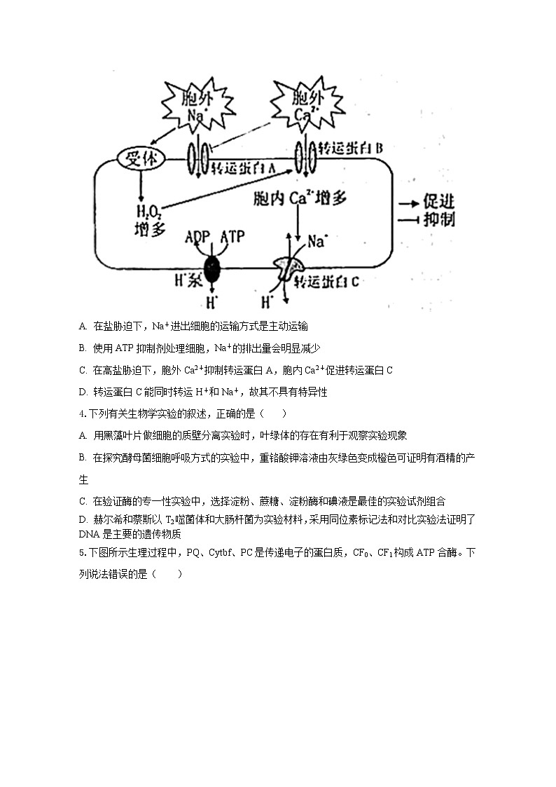 湖北省2023年高三生物下学期高考仿真模拟试卷（Word版附解析）02