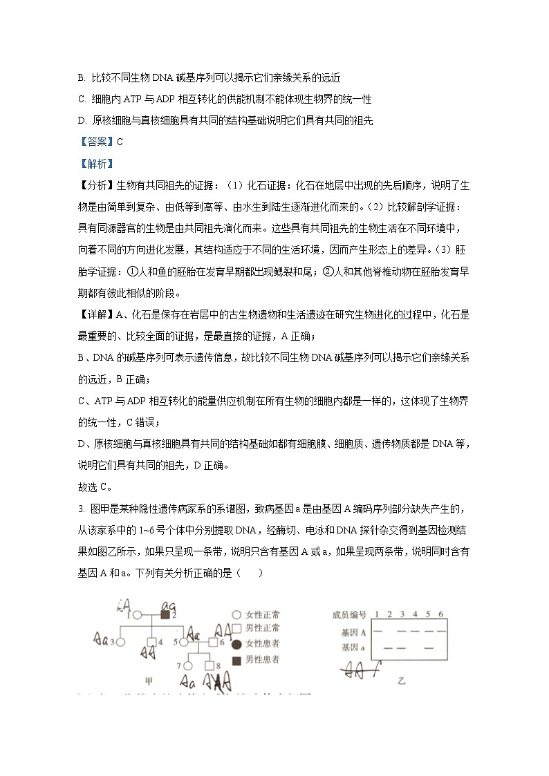 云南省玉溪市2022-2023学年高三生物下学期一模试题（Word版附解析）第2页
