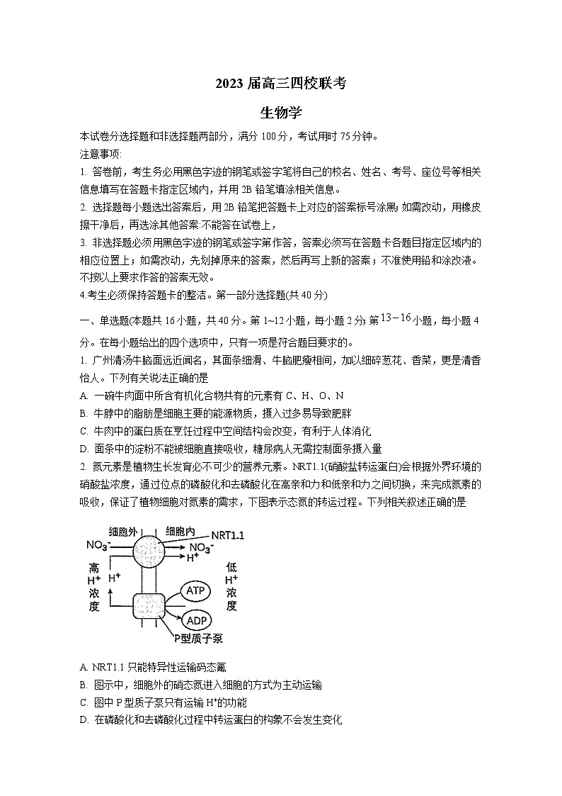 广东省四校2023届高三生物下学期联考试卷（Word版附答案）第1页