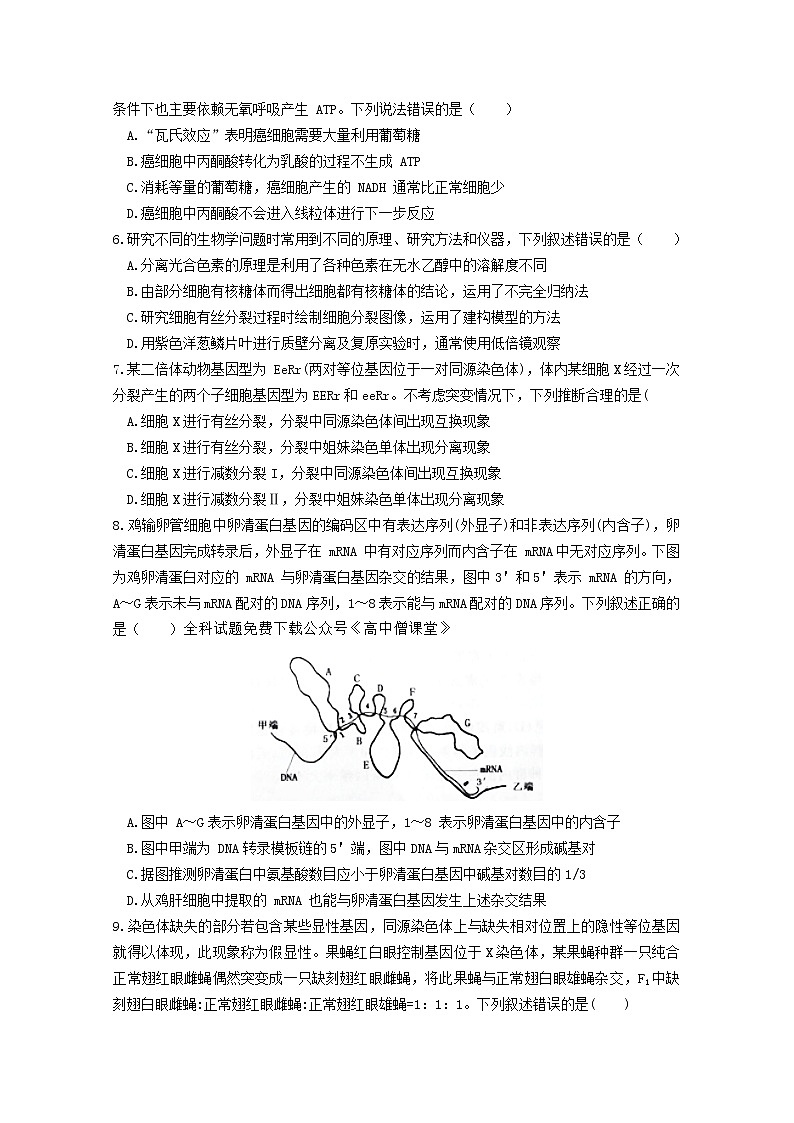 安徽省淮北市2023届高三生物下学期一模试题（2月）（Word版附解析）02