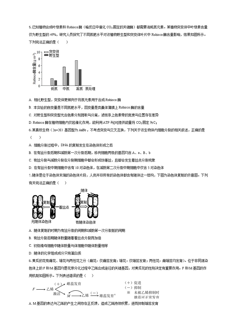 湖北省2023届高三生物高考适应性模拟试卷（三）（Word版附答案）第2页