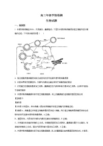 山东省济南市2023届高三生物下学期学情检测（一模）试题（Word版附解析）