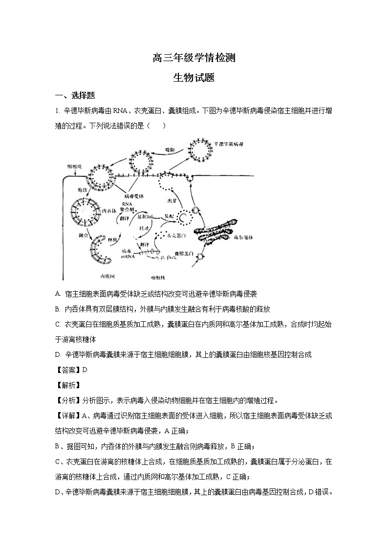 山东省济南市2023届高三生物下学期学情检测（一模）试题（Word版附解析）第1页