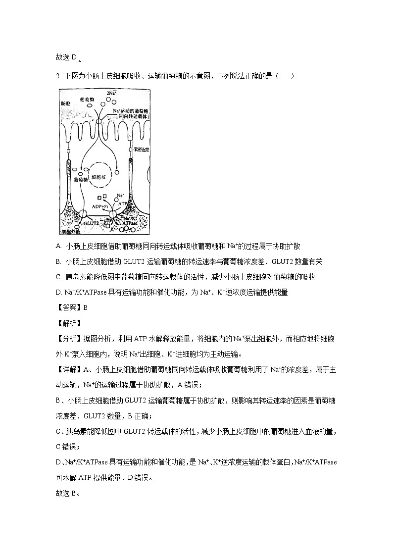 山东省济南市2023届高三生物下学期学情检测（一模）试题（Word版附解析）第2页