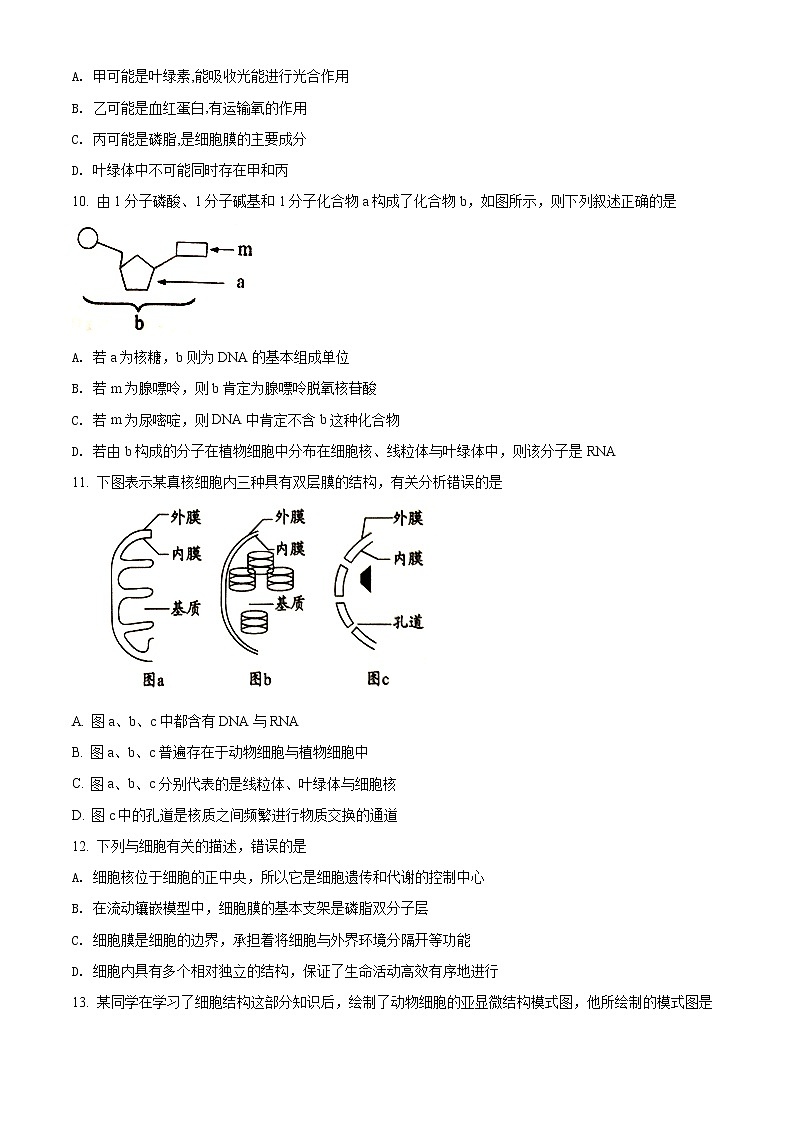 高中生物第一册 精品解析天津市滨海新区2019-2020学年期末生物试题（无答案）第3页