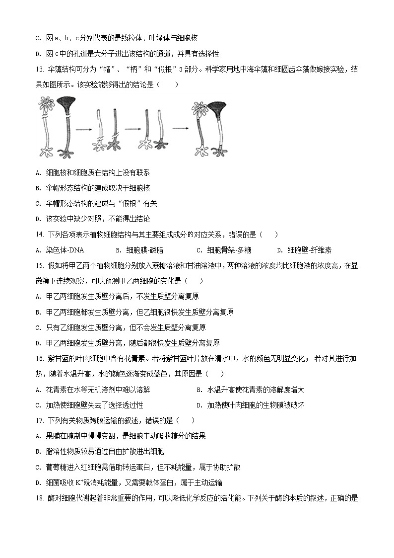 高中生物第一册 精品解析天津市东丽区2020-2021学年期末生物试题（无答案）03