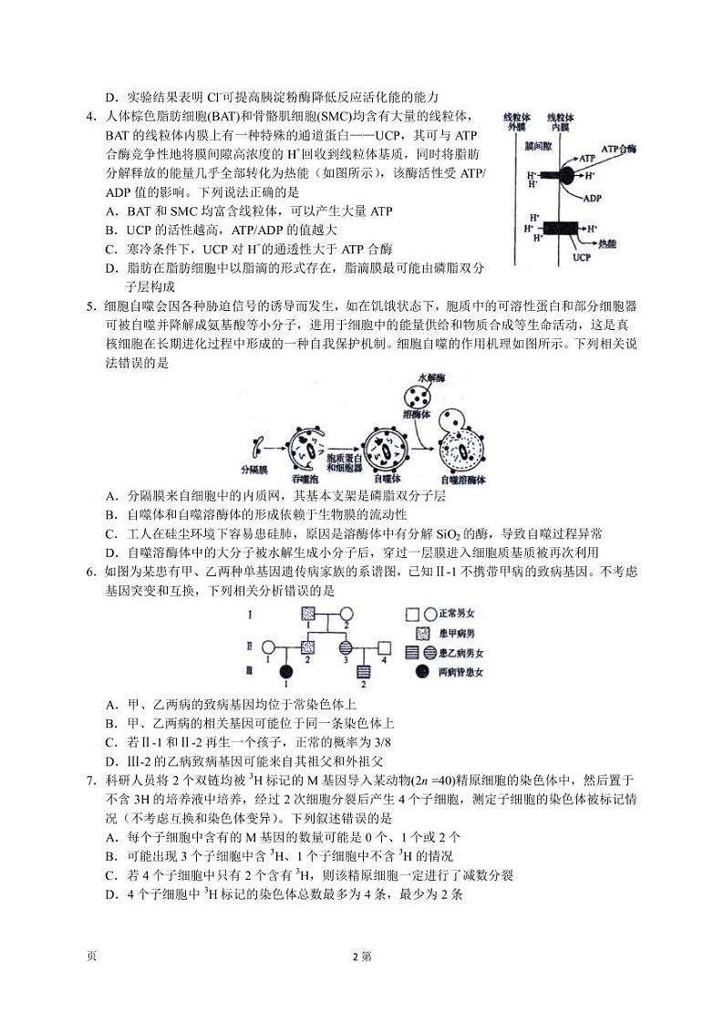 2022-2023学年河北省衡水中学高三下学期一调考试（月考）生物学试题PDF版含答案02