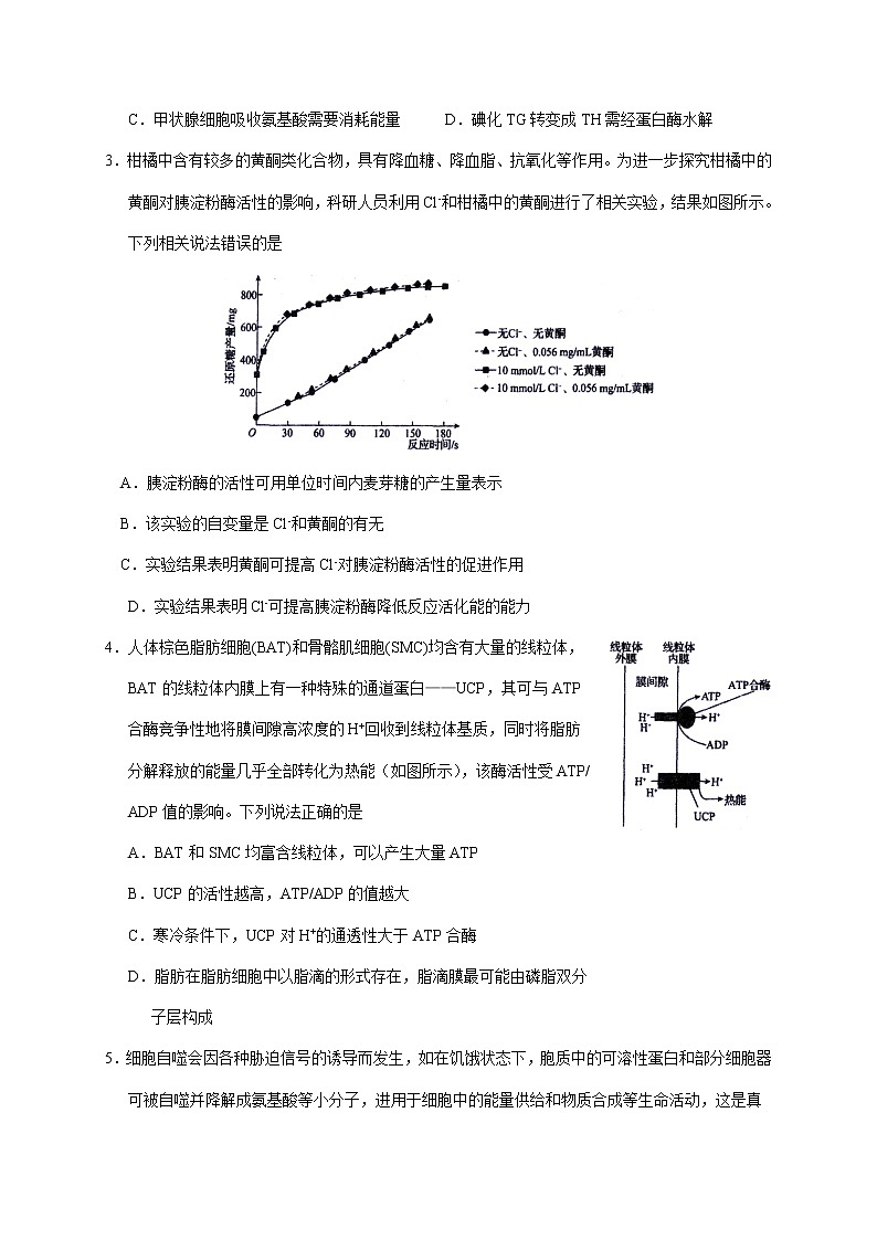 2022-2023学年河北省衡水中学高三下学期一调考试（月考）生物学试题含答案02