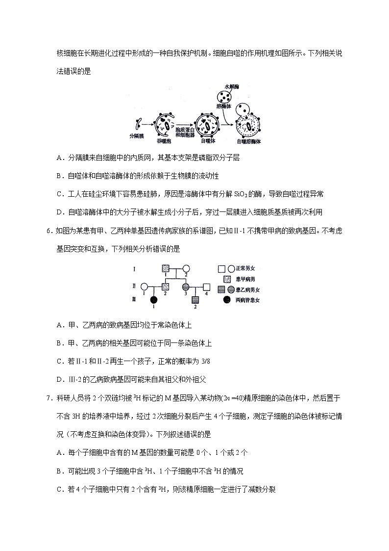 2022-2023学年河北省衡水中学高三下学期一调考试（月考）生物学试题含答案03