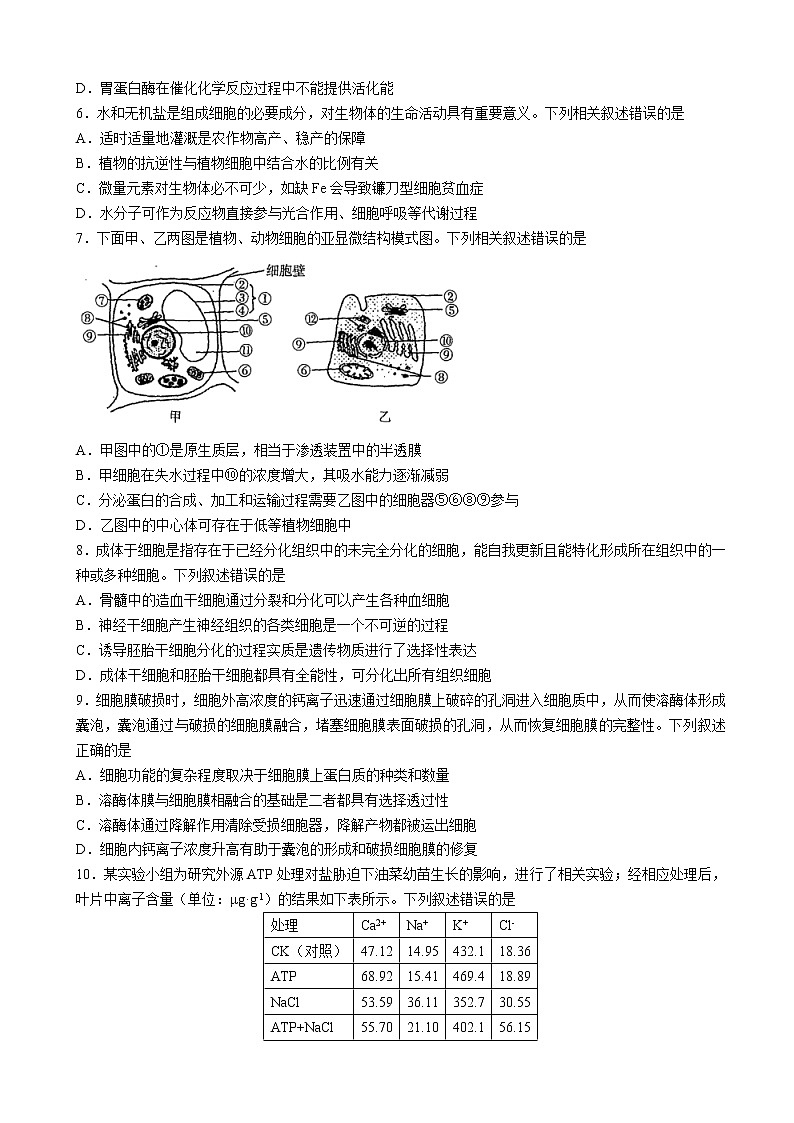 河南省2022-2023学年高三上学期阶段性测试（四）生物试题第2页
