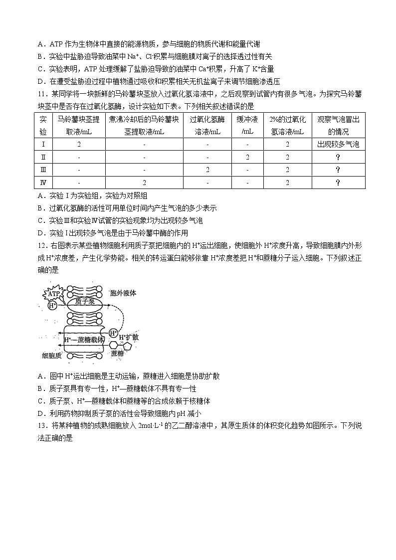 河南省2022-2023学年高三上学期阶段性测试（四）生物试题第3页
