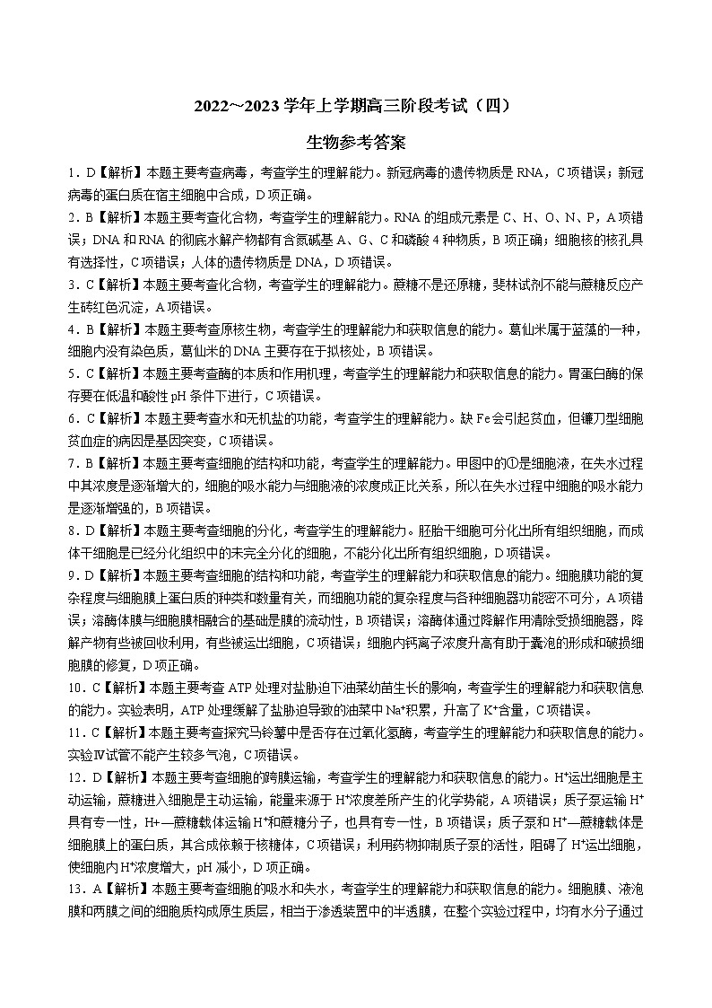 河南省2022-2023学年高三上学期阶段性测试（四）生物答案第1页