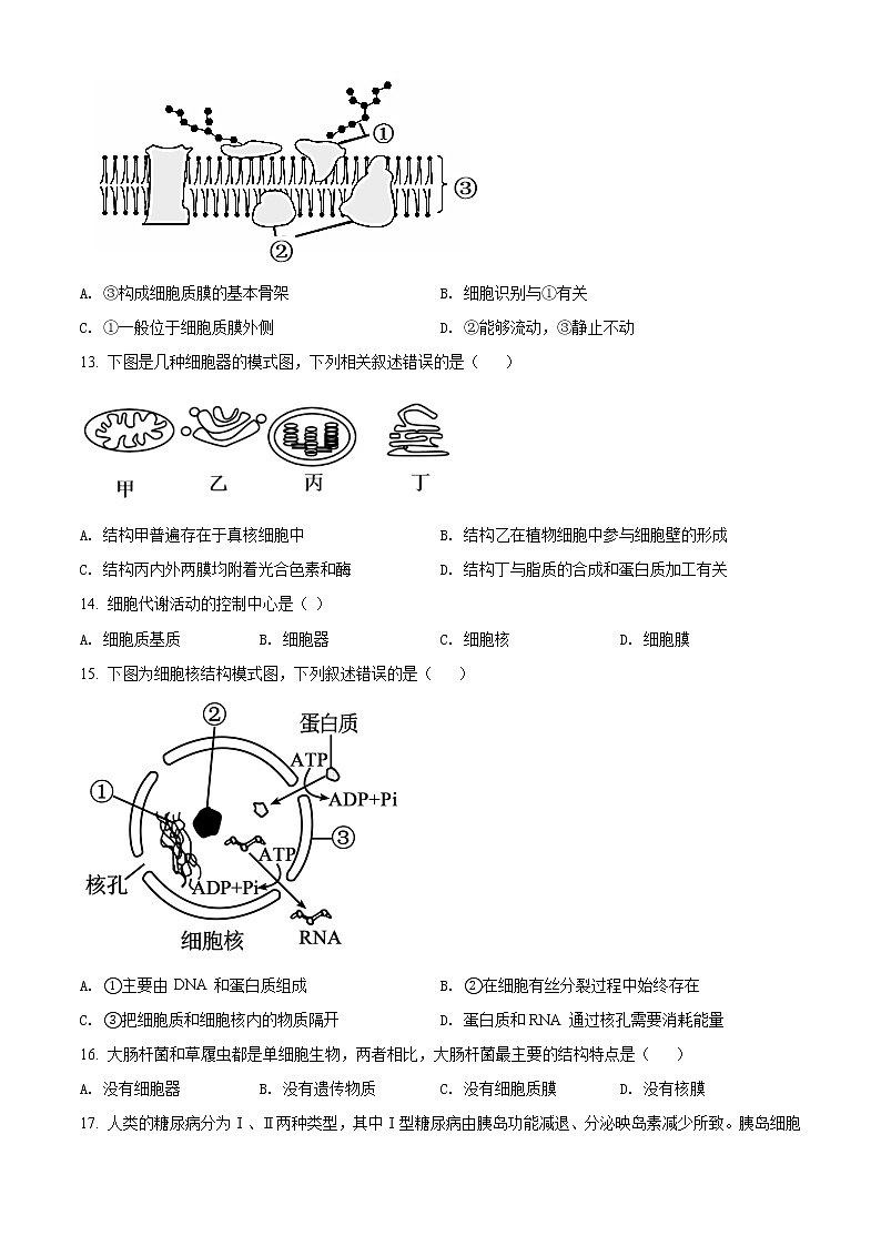 高中生物第一册 精品解析江苏省南京市 2020~2021 学年期末学情调研生物试题（无答案）03