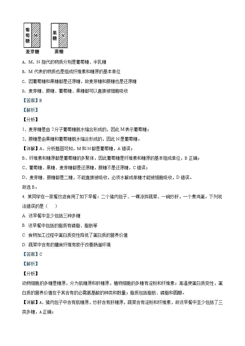 高中生物第一册 精品解析江苏省南京市南京师大附中2020-2021学年期末生物试题（含答案）02