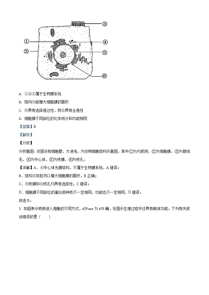 高中生物第一册 精品解析江苏省南通市2020-2021学年期末生物试题（新人教版）（含答案）03