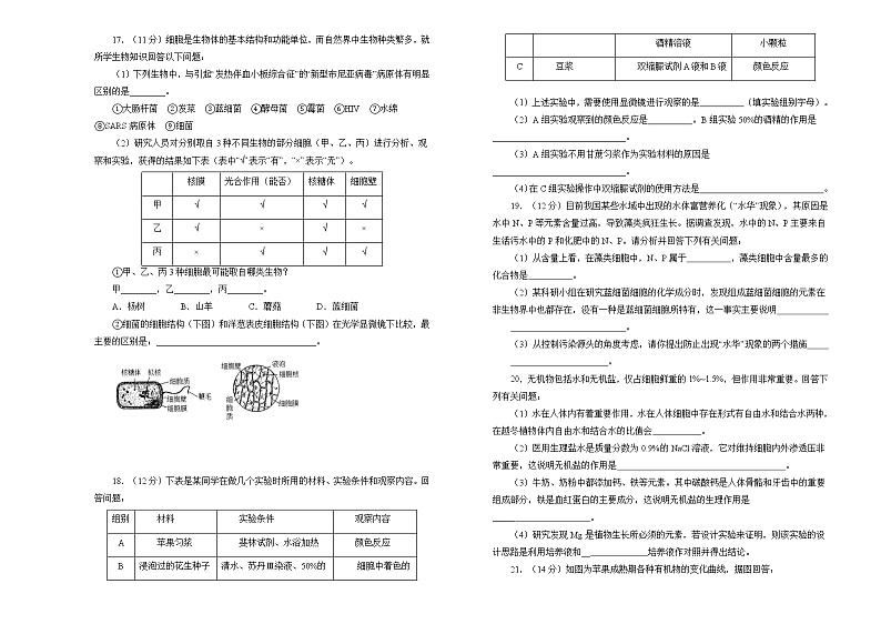 高中生物第一册 高一第一次月考备考金卷 生物（A卷）(无答案)第3页