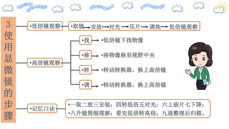 高中生物第一册 第2节 细胞的多样性和统一性 课件8 13第6页