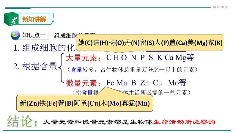 高中生物第一册 第2章 第1节 细胞中的元素和化合物课件PPT第6页