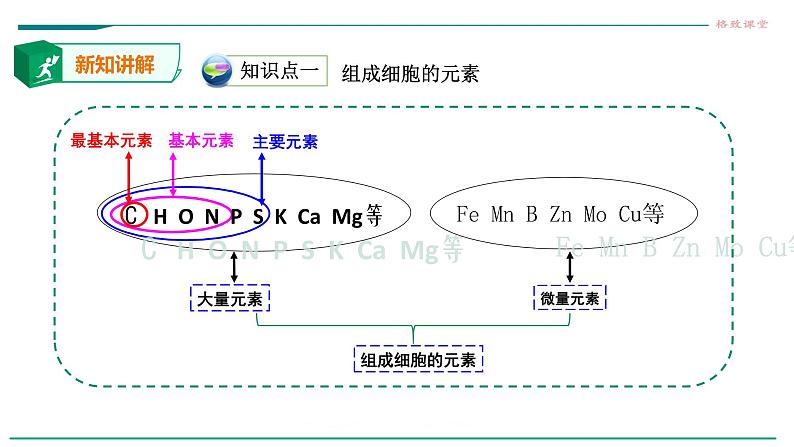 高中生物第一册 第2章 第1节 细胞中的元素和化合物课件PPT第7页