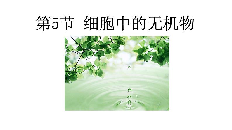 高中生物第一册 第2章《本章综合与测试》获奖说课课件01