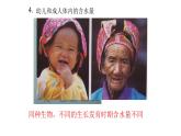 高中生物第一册 第2章《本章综合与测试》获奖说课课件
