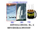 高中生物第一册 第2章《本章综合与测试》获奖说课课件