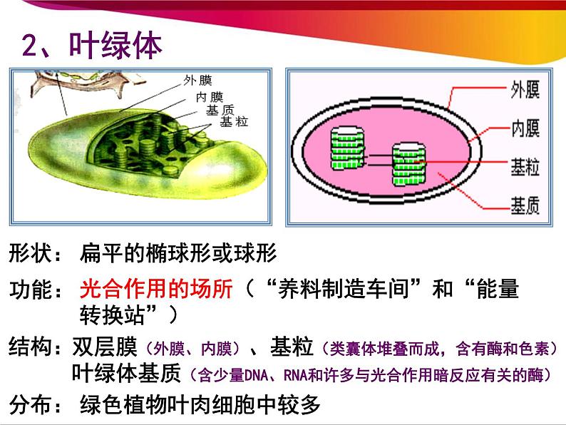 高中生物第一册 第3章《本章综合与测试》名师优质课课件04