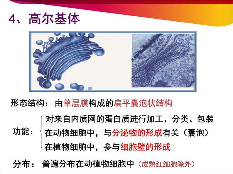 高中生物第一册 第3章《本章综合与测试》名师优质课课件06