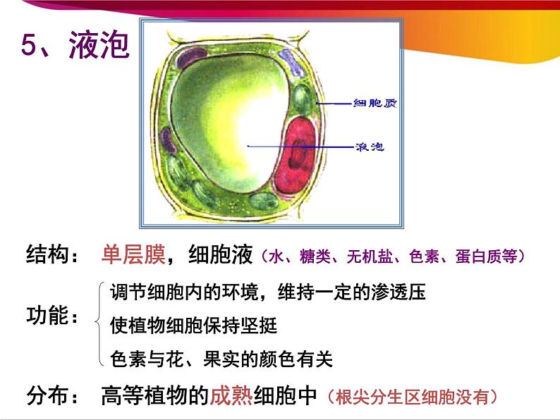 高中生物第一册 第3章《本章综合与测试》名师优质课课件07