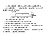 高中生物第一册 第6章《本章综合与测试》多媒体精品课件