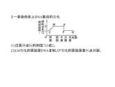 高中生物第一册 第6章《本章综合与测试》多媒体精品课件