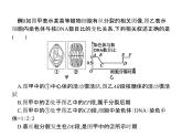 高中生物第一册 第6章《本章综合与测试》多媒体精品课件