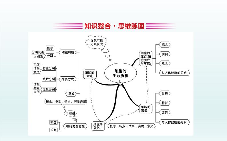 高中生物第一册 第6章《本章综合与测试》获奖说课课件第2页