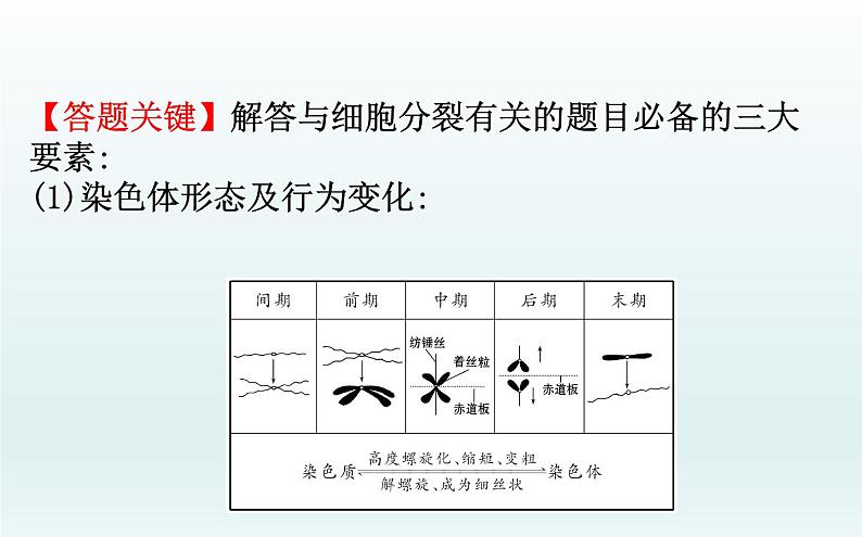 高中生物第一册 第6章《本章综合与测试》获奖说课课件第7页