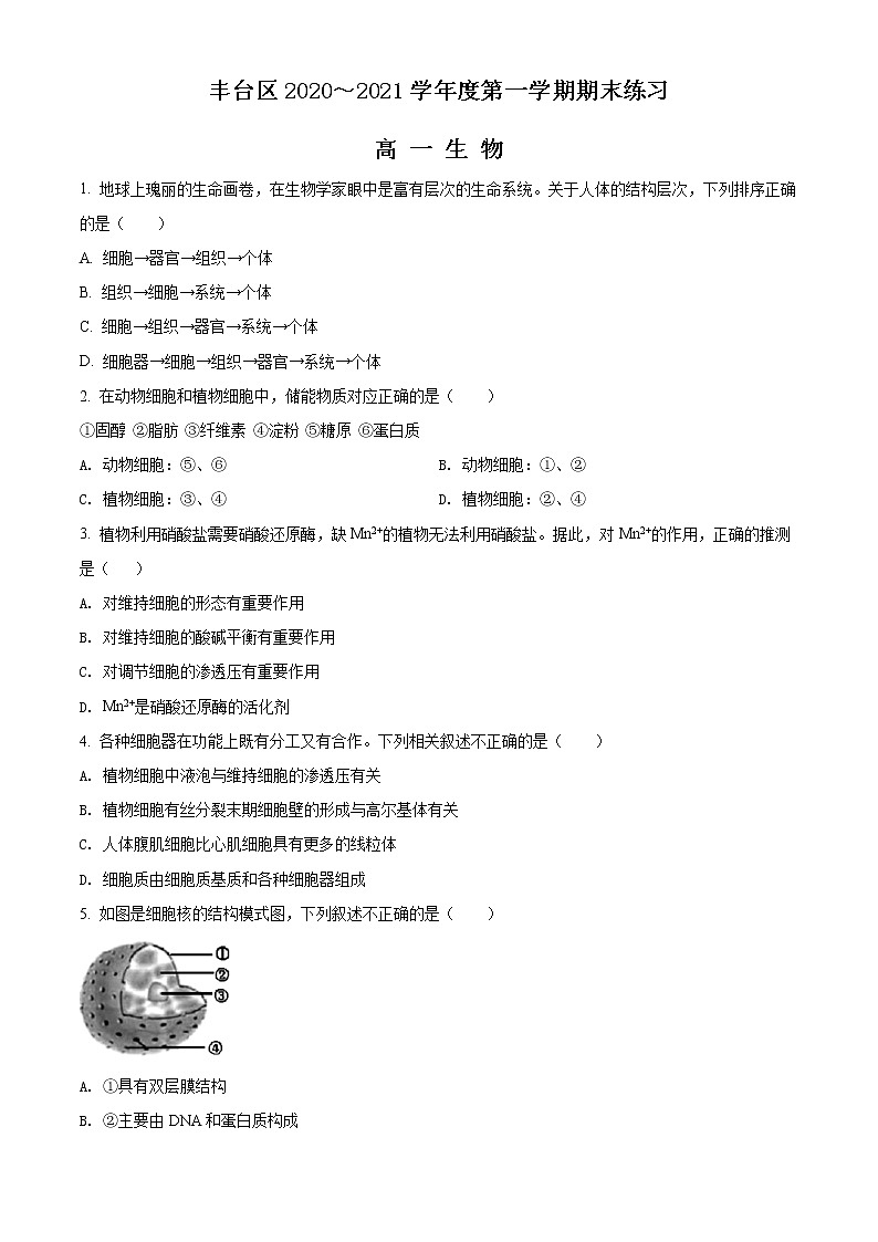 高中生物第一册 精品解析北京丰台区2020-2021学年期末生物试题（无答案）01