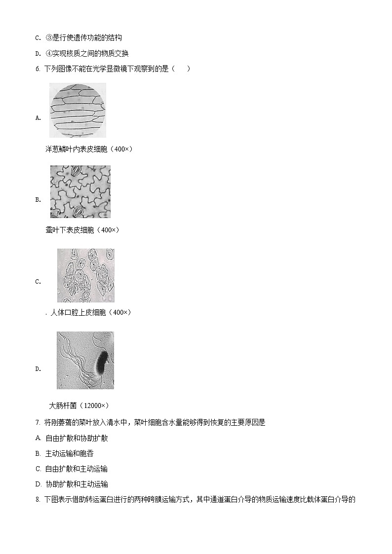 高中生物第一册 精品解析北京丰台区2020-2021学年期末生物试题（无答案）02