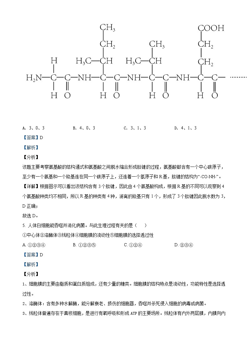 高中生物第一册 精品解析北京市朝阳区2019~2020学年期末质量检测生物试题（含答案）03