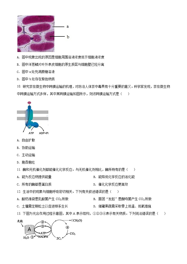 高中生物第一册 精品解析北京市朝阳区2020-2021学年期末质量检测生物试题（无答案）03