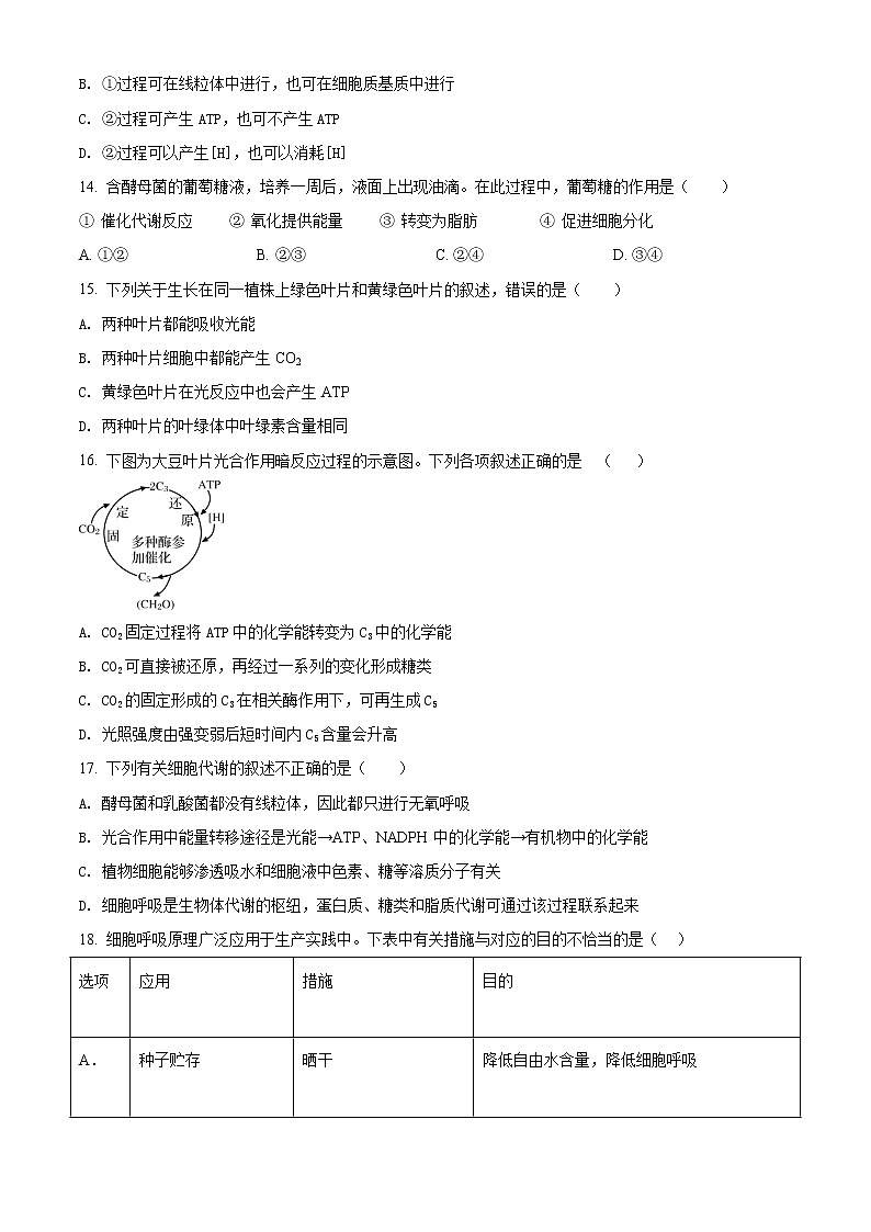 高中生物第一册 精品解析北京市东城区2020-2021学年期末生物试题（无答案）03