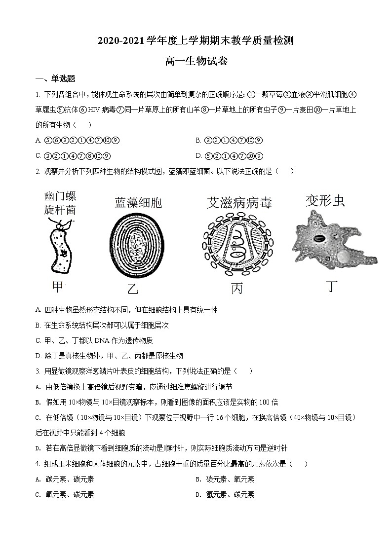 高中生物第一册 精品解析黑龙江大庆市东风中学2020-2021学年期末教学质量检测生物试题（无答案）01