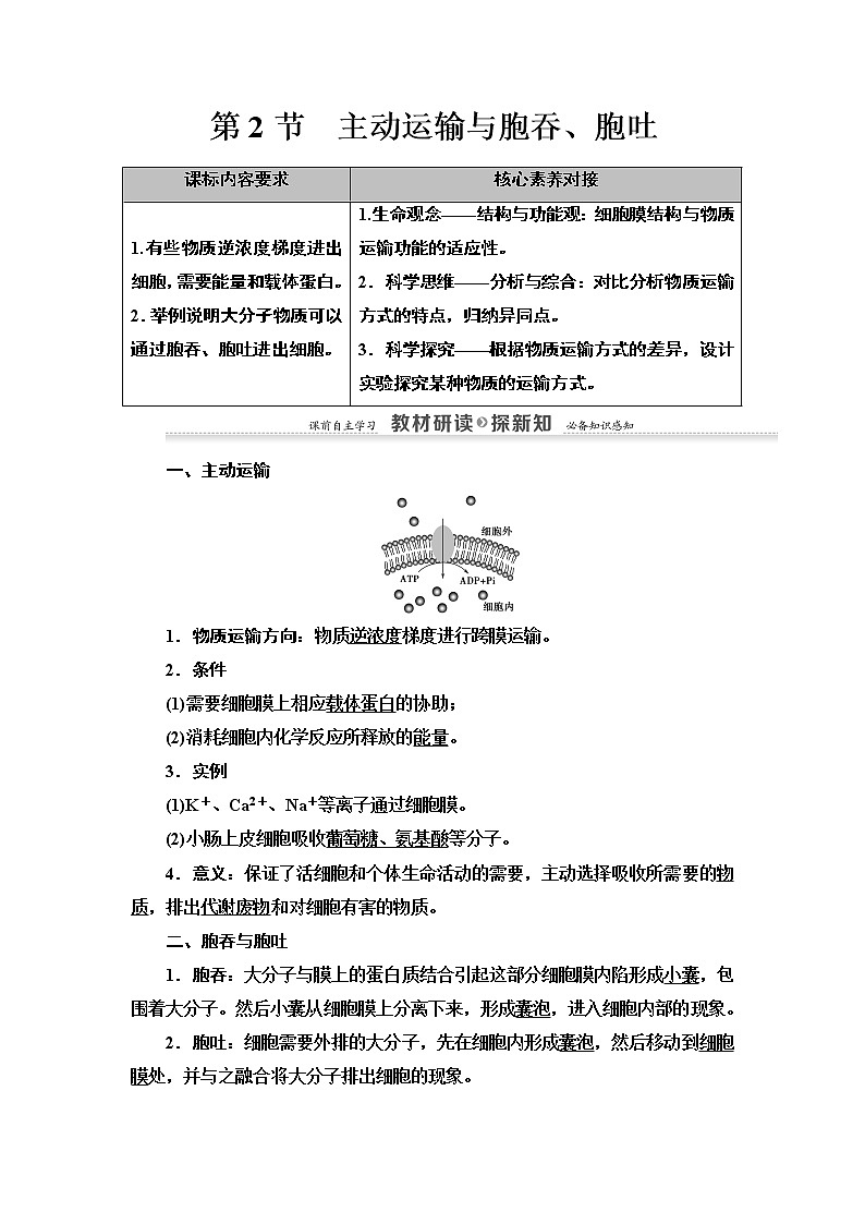 高中生物第一册 第4章 第2节　主动运输与胞吞、胞吐 讲义01