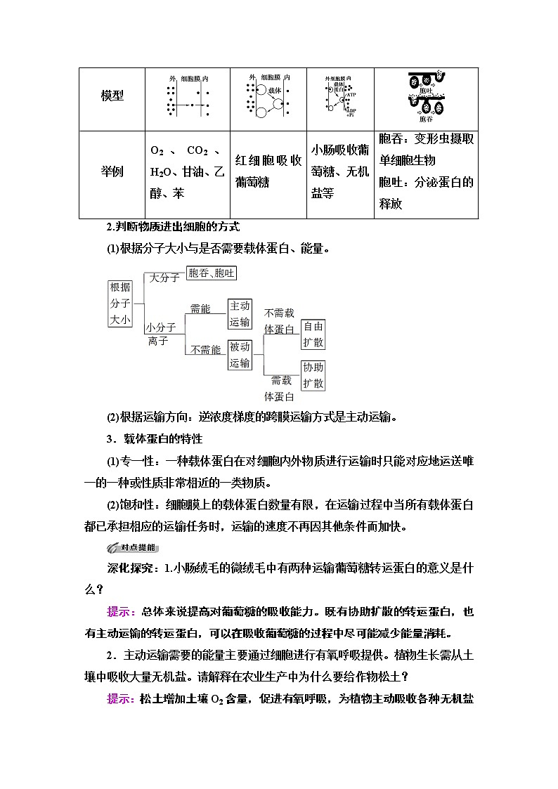 高中生物第一册 第4章 第2节　主动运输与胞吞、胞吐 讲义03
