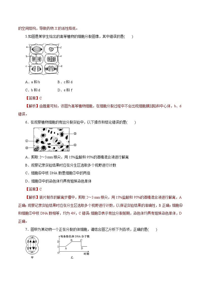 高中生物第一册 第6章 细胞的生命历程B卷（含答案）第3页