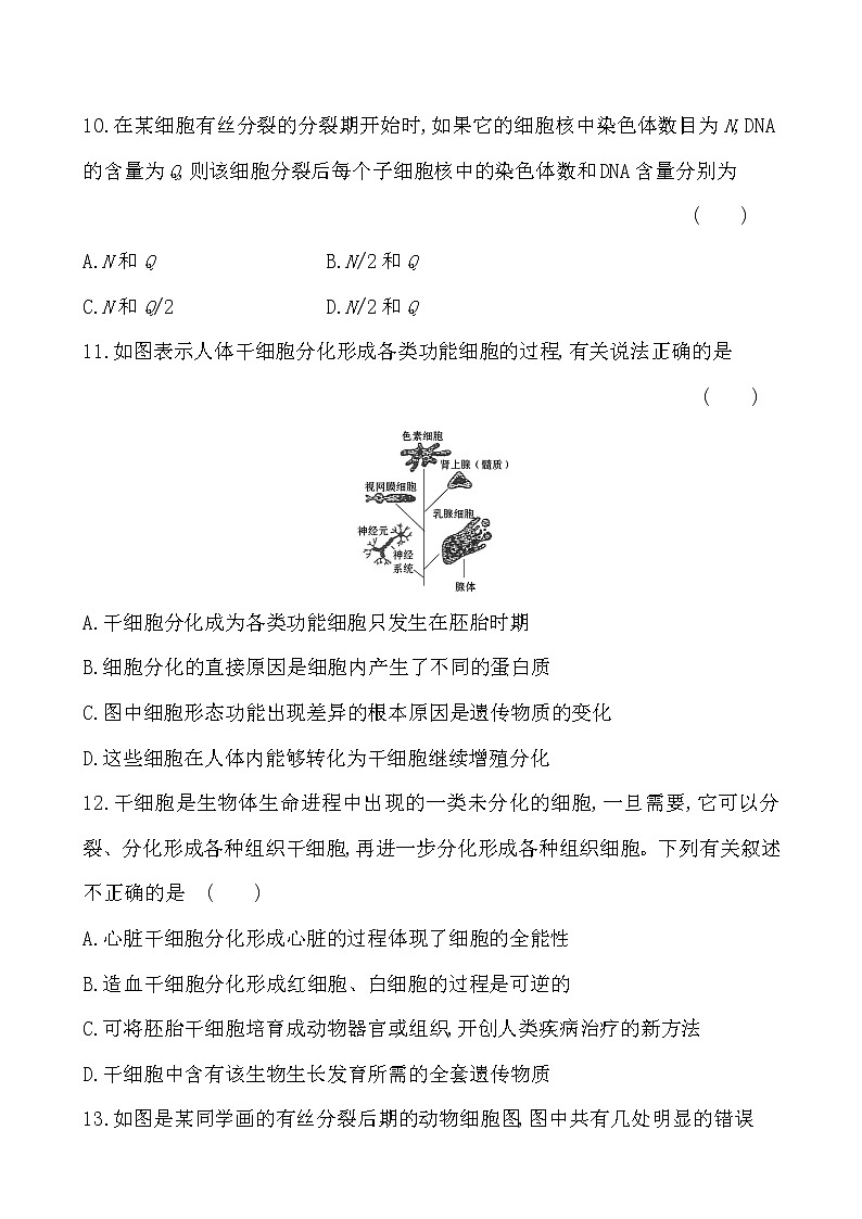高中生物第一册 第6章《本章综合与测试》课时练习第3页