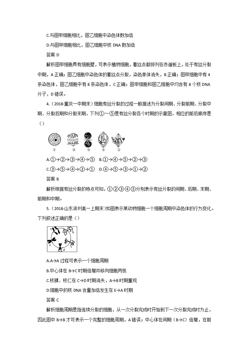 高中生物第一册 第6章《本章综合与测试》课堂教学教案教学设计03