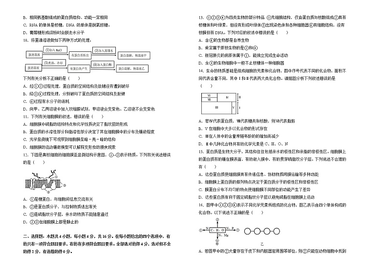 高中生物第一册 2021-2022学年上学期高一期中备考精编金卷 生物（B卷） (无答案)02