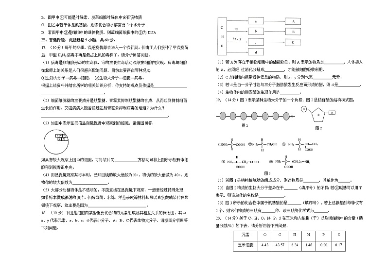 高中生物第一册 2021-2022学年上学期高一期中备考精编金卷 生物（B卷） (无答案)03