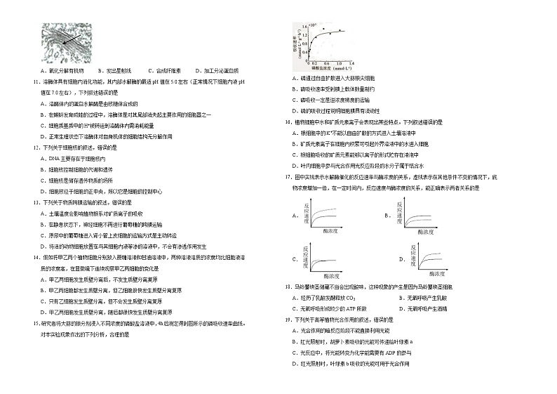 高中生物第一册 2020-2021学年上学期高一期末备考金卷 生物（A卷）(无答案)第2页