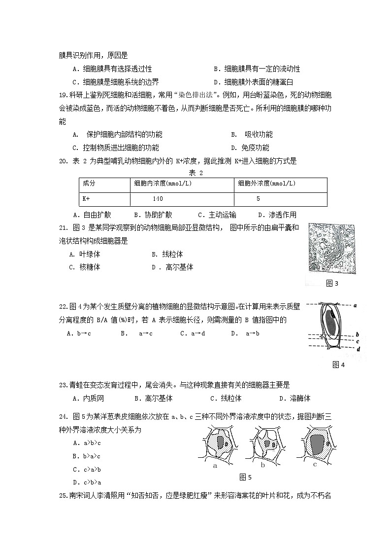 高中生物第一册 2019-2020学年上海市普通中学三校联考期中考试生物试题03